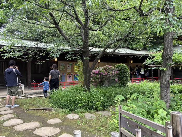 渋谷　代々木八幡宮　金魚まつり