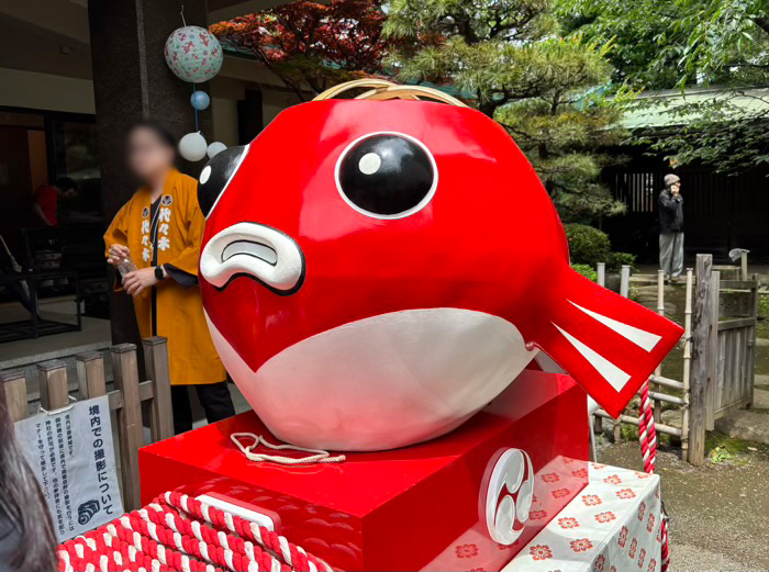 渋谷　代々木八幡宮　金魚まつり