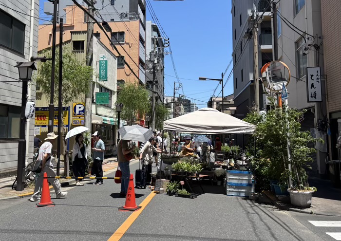 浅草富士浅間神社　植木市