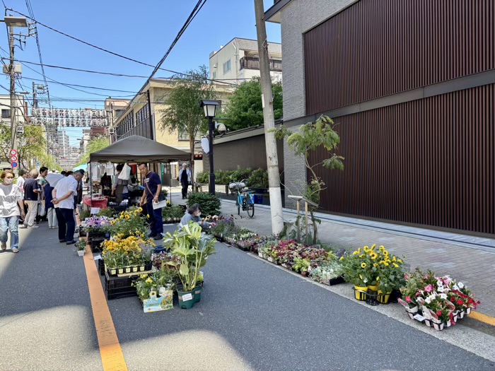 浅草富士浅間神社　植木市