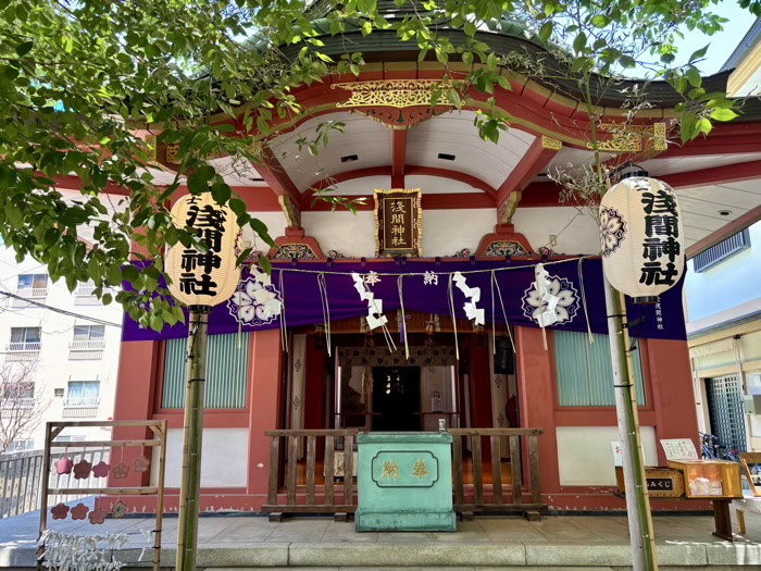 浅草富士浅間神社　植木市
