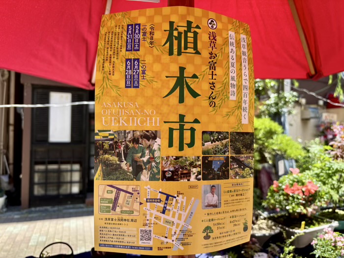 浅草富士浅間神社　植木市