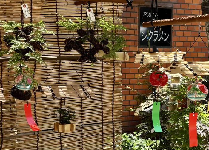 浅草富士浅間神社　植木市