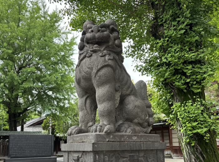 向島 牛嶋神社