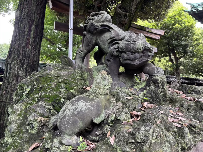 向島 牛嶋神社 獅子山