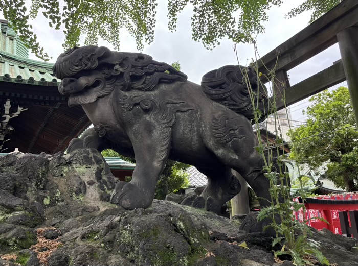 向島 牛嶋神社 獅子山