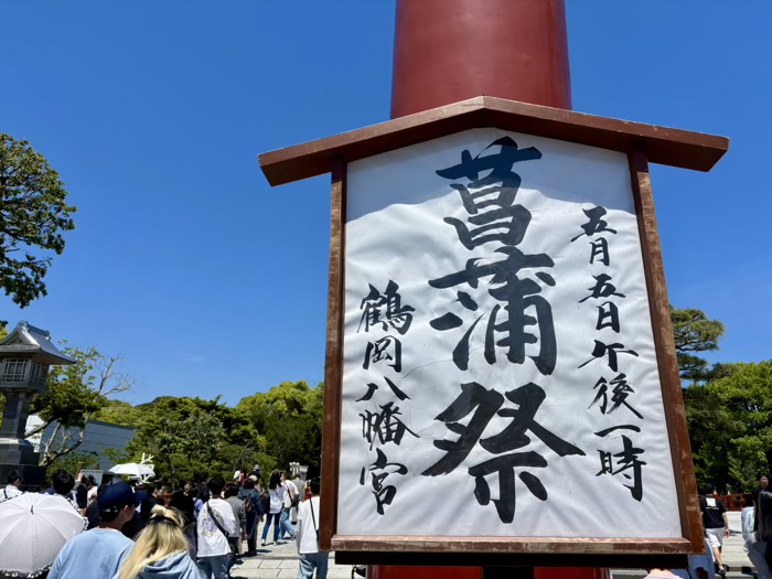 鎌倉　鶴岡八幡宮　菖蒲祭