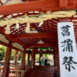 鎌倉　鶴岡八幡宮　菖蒲祭