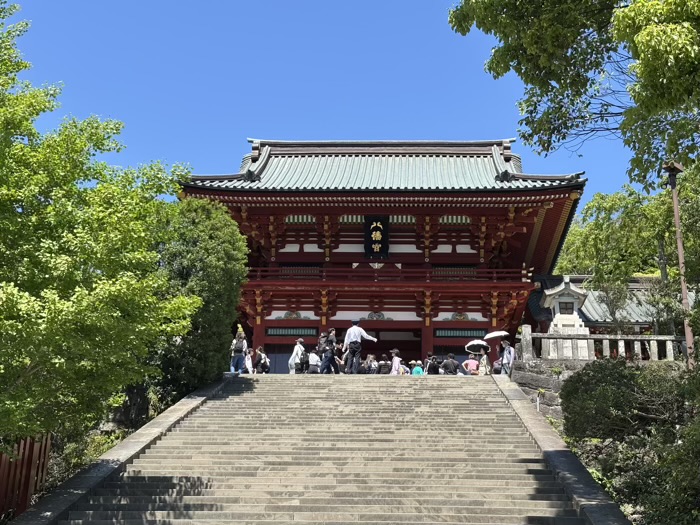 鎌倉　鶴岡八幡宮　菖蒲祭