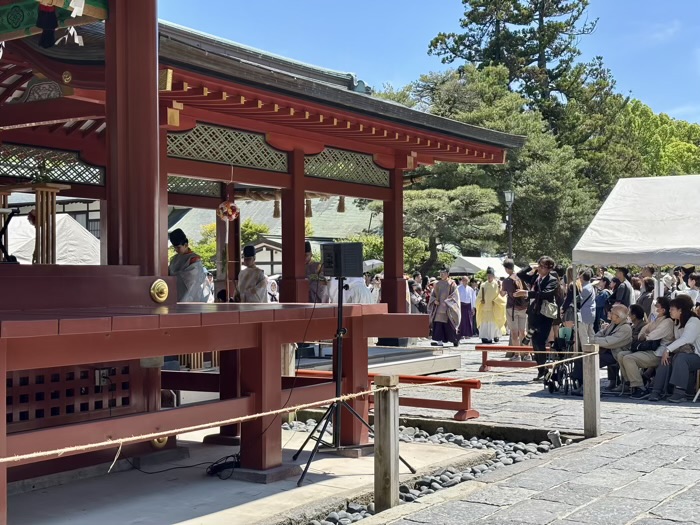 鎌倉　鶴岡八幡宮　菖蒲祭