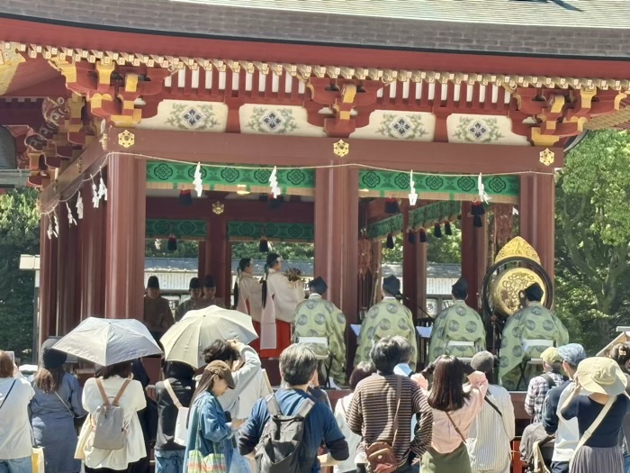 鎌倉　鶴岡八幡宮　菖蒲祭