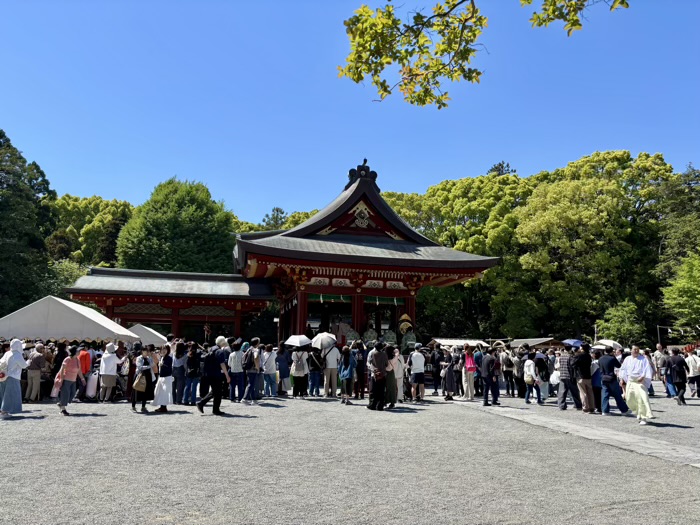 鎌倉　鶴岡八幡宮　菖蒲祭
