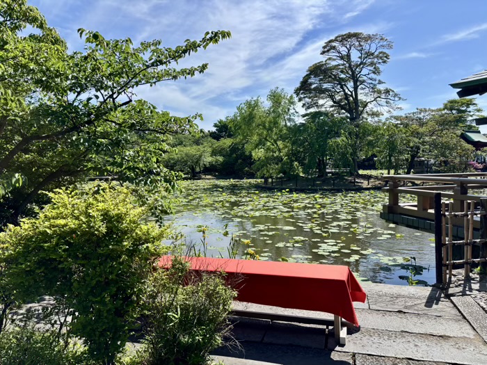 鎌倉　鶴岡八幡宮　池泉回遊式庭園（ぼたん園）