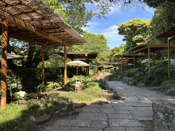 鎌倉　鶴岡八幡宮　池泉回遊式庭園（ぼたん園）