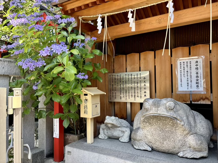 麻布十番 十番稲荷神社 集財祭(あじさいまつり)