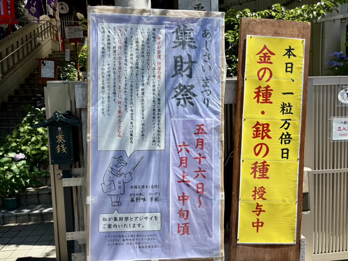 麻布十番 十番稲荷神社 集財祭(あじさいまつり)