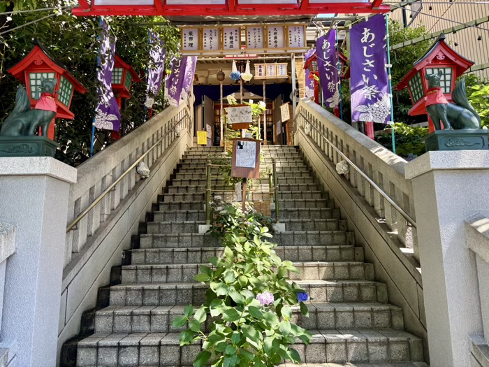 麻布十番 十番稲荷神社 集財祭(あじさいまつり)