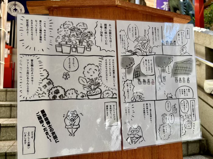 麻布十番 十番稲荷神社 集財祭(あじさいまつり)