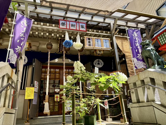 麻布十番 十番稲荷神社 集財祭(あじさいまつり)