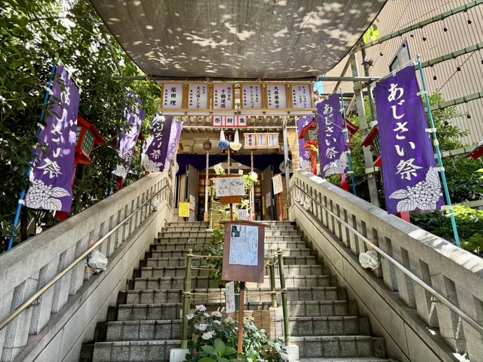 麻布十番 十番稲荷神社 集財祭(あじさいまつり)