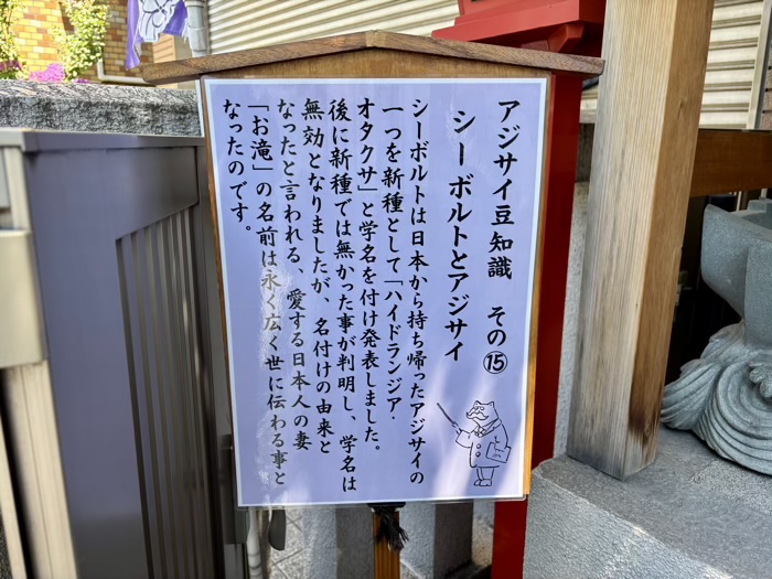麻布十番 十番稲荷神社 集財祭(あじさいまつり)