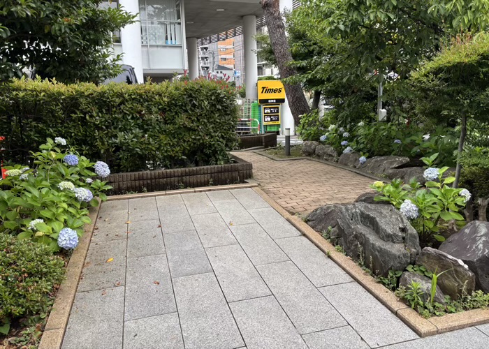 桜新町　桜神宮　6月　あじさい