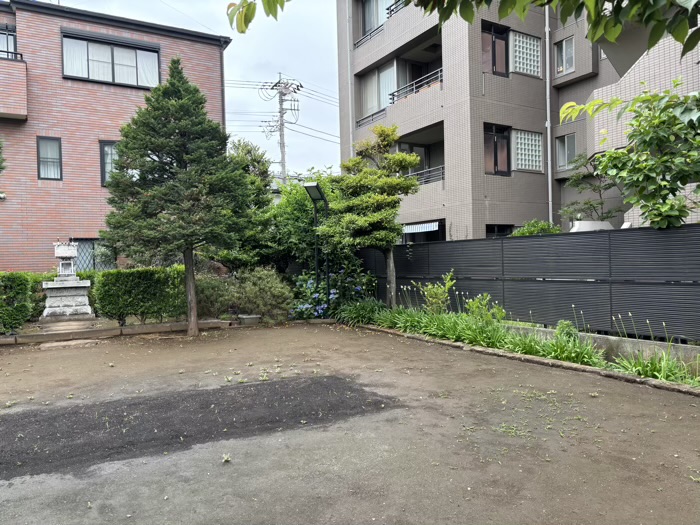 桜新町　桜神宮　6月　アガパンサス