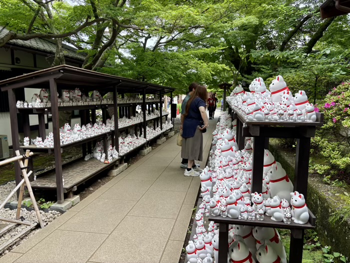 世田谷 大谿山 豪徳寺 招福殿
