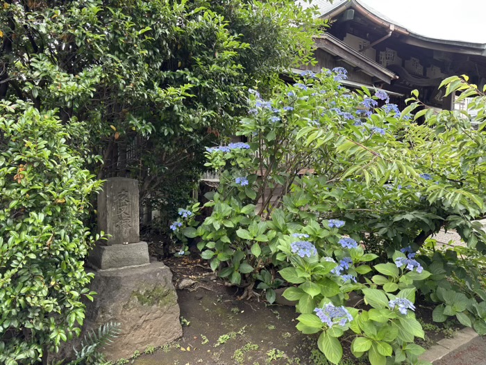 世田谷区 最勝寺 教学院