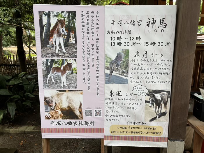 湘南 平塚八幡宮 健康祈願祭2026