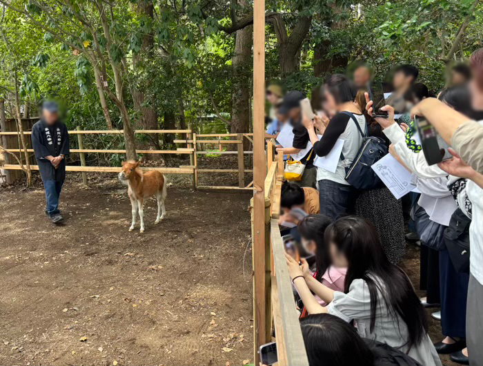 湘南 平塚八幡宮 健康祈願祭2026 八重ちゃん