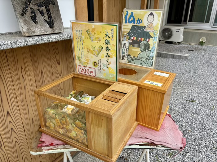 藤沢 清浄光寺(遊行寺) おみくじ