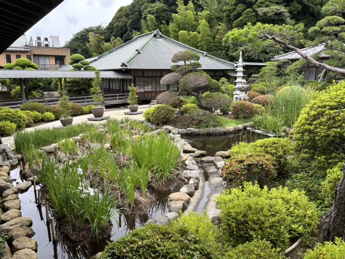 藤沢 清浄光寺(遊行寺) 中庭