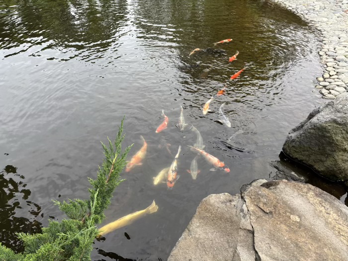 藤沢 清浄光寺(遊行寺) 庭園