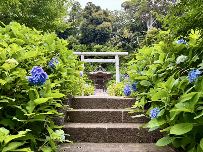 藤沢　清浄光寺（遊行寺）　宇賀神社