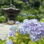 藤沢　清浄光寺（遊行寺）　宇賀神社