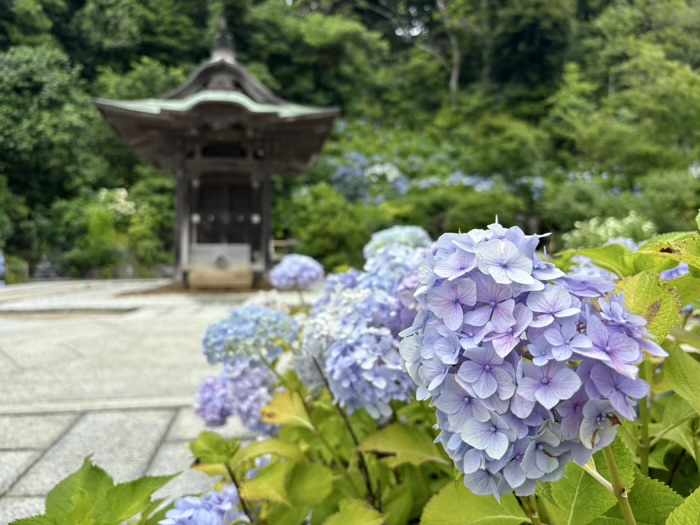 藤沢 清浄光寺(遊行寺) 宇賀神社