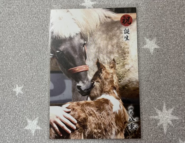 湘南 平塚八幡宮 八重ちゃんのポストカード