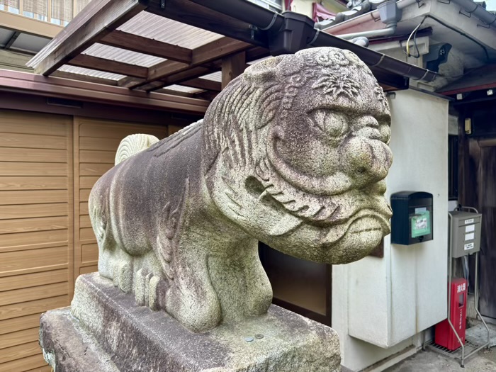港区高輪　長祐山 承教寺　狛件