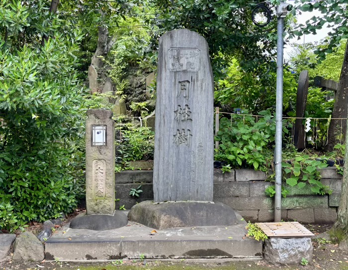 南千住 素盞雄神社 富士塚(小塚原富士)