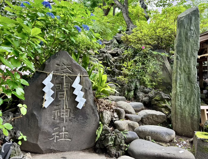 南千住 素盞雄神社 富士塚(小塚原富士)