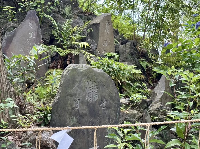 南千住 素盞雄神社 富士塚(小塚原富士)