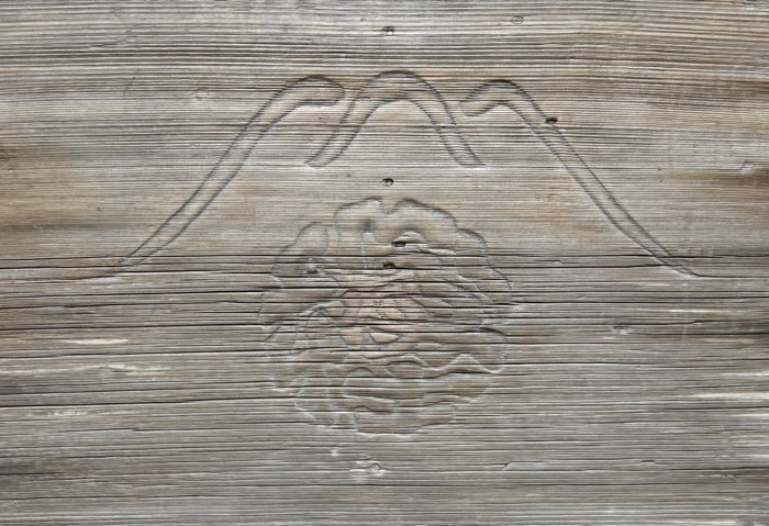 本郷　富士浅間神社（本富士）