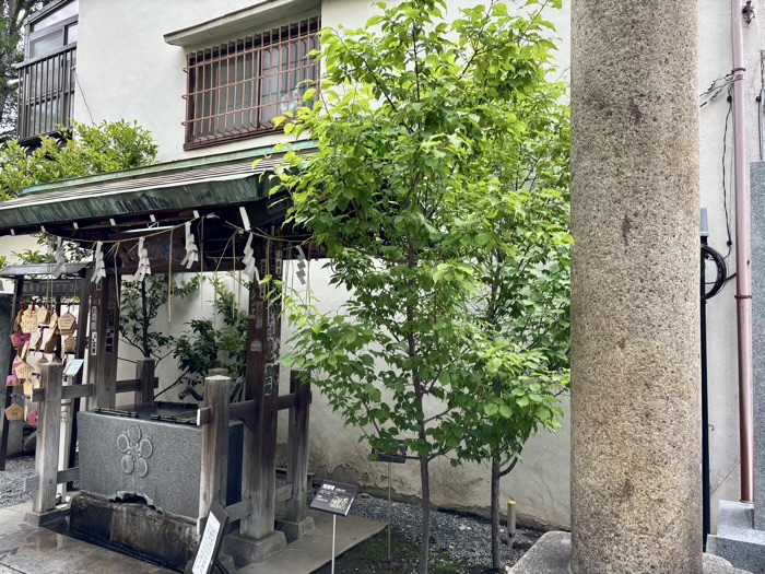 本郷　櫻木神社