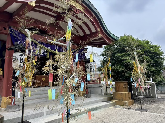 足立区　千住神社　七夕