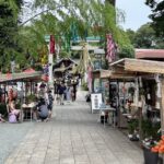 秦野　出雲大社相模分祠　ほおずき市（夏詣）