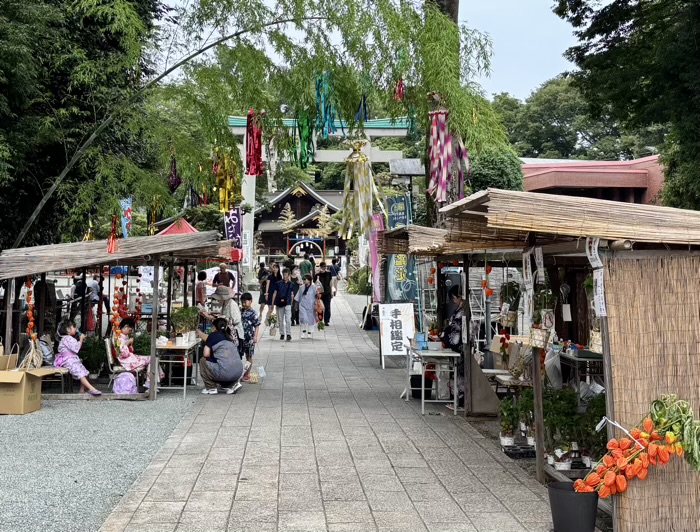 秦野　出雲大社相模分祠　ほおずき市（夏詣）