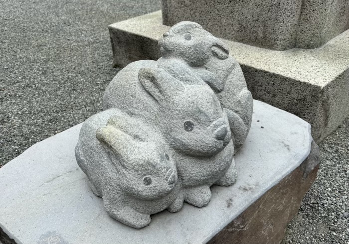 秦野 出雲大社相模分祠 ほおずき市(夏詣)