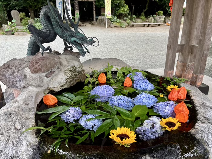 秦野 出雲大社相模分祠 ほおずき市(夏詣) 花手水