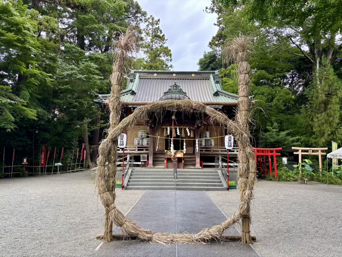 秦野 白笹稲荷神社 茅の輪くぐり